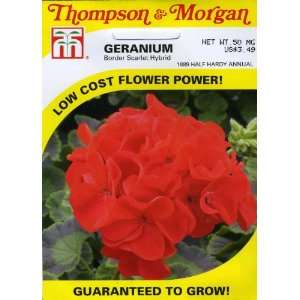   Geranium Border Scarlet Hybrid Seed Packet Patio, Lawn & Garden