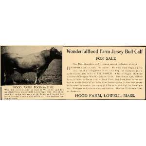  1907 Ad Hood Farm Jersey Bull Calf Lowell Massachusetts 