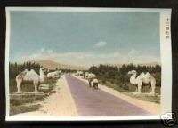 Peking Beijing photo Ming Tombs Camel Statue China 50s  