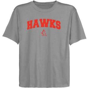 NCAA Hartford Hawks Youth Ash Logo Arch T shirt:  Sports 