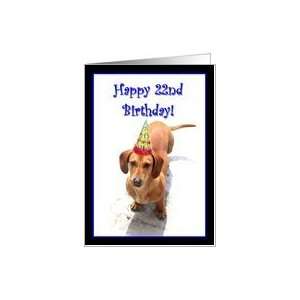  Happy 22nd Birthday Dachshund Card Toys & Games