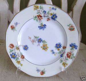 Theodore Haviland France Limoges ROSE SPRAY Lunch Plate  