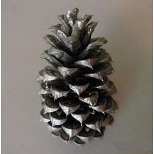   ALABAMA ORCHARDS HAND PAINTED SILVER PINE CONES Everything Else