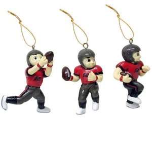  Tampa Bay Buccaneers Football Player Ornaments: Sports 