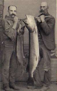 1922 Book on Pike Fishing on CD lures rods reels  