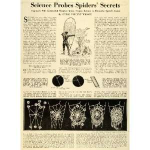  1928 Article Spider Webs Fishing Net Natural History H. G 
