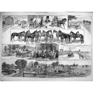  1884 America Bonner Horses Training Rarus Forrest