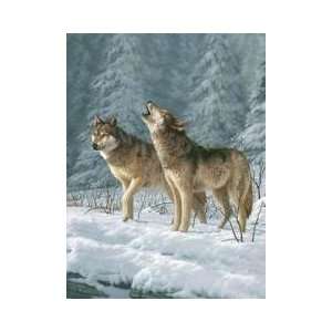  Call of the Wild Wolf Raschel Blanket