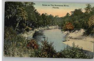 Old Postcard Scene on Suwannee River in Florida/FL  