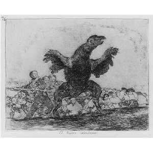  El buitre carnivoro,Man attacking monstrous bird with 