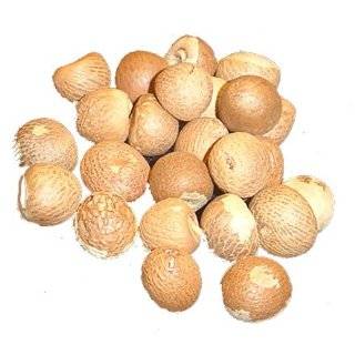 Betelnuts (Areca Nuts) Whole (Supari) 14oz