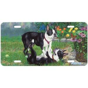  5391 Time Out Black Boston Terrier Dog License Plate Car 