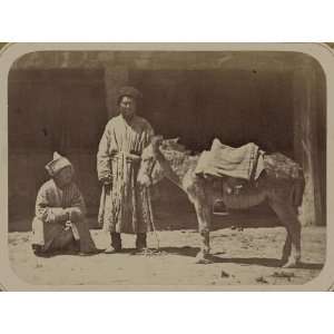  Turkic peoples,transportation,donkey,Central Asia,c1865 