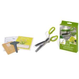  Chive Garden Kit with Herb Scissors