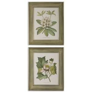  Rhododendron & Tulip Tree Set of 2 by Uttermost   Silver 