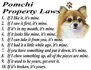 POMCHI POMERANIAN CHIHUAHUA MIX DOG PROPERTY LAWS T SHIRT  S M L XL 