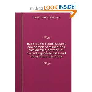   currants, gooseberries, and other shrub like fruits Fred W. 1863 1941