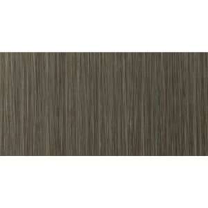   Strands 12 x 24 Porcelain Floor Tile in Twilight