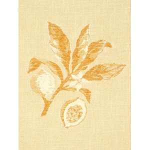  Cortona Golden Sisal by Beacon Hill Fabric Arts, Crafts & Sewing