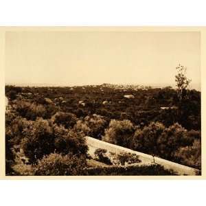  1925 Sidon Saida Lebanon City Landscape Photogravure 