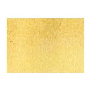  ShinHan Touch Twin Marker   Buttercup Yellow: Arts, Crafts 