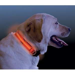  Nite Ize Dawg Illuminated Dog Collar RED LED   Collar 