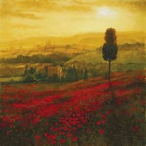  Steve Thoms 30W by 30H  Shades Of Poppies CANVAS Edge 