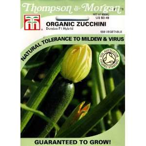  Thompson & Morgan 559 Organic Courgette Dundoo (Zucchini 
