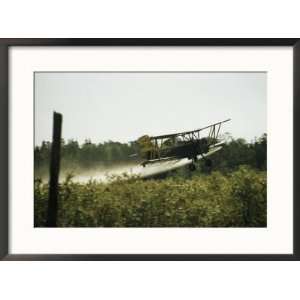 Crop Dusting Airplane Flys Low Over a Field to Drop Pesticide Framed 