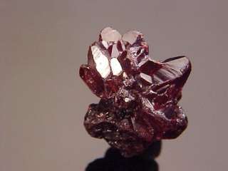 CLASSIC Ruby Red Proustite Crystal CHANARCILLO, CHILE  
