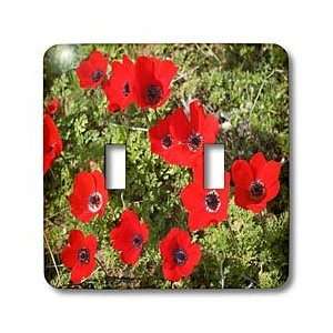 Photography   Wild Flowers Anemone Red   Light Switch Covers   double 