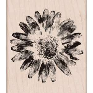  Hero Arts Mounted Rubber Stamps   Real Blossom: Home 