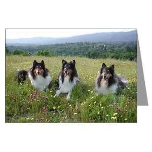  Boys on Kite Hill Pets Greeting Cards Pk of 10 by 