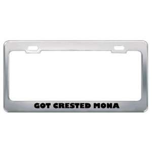   Mona Monkey? Animals Pets Metal License Plate Frame Holder Border Tag