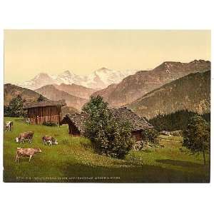  Beatenberg,Jungfrau,Monch,Eiger,Bern,Switzerland,c1895 