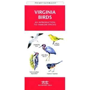  Folding Pocket Guide   Virginia Birds 