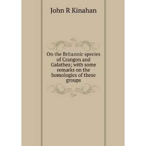   some remarks on the homologies of these groups John R Kinahan Books