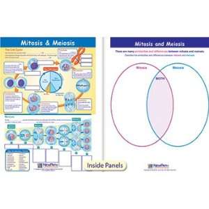  MITOSIS & MEIOSIS VISUAL LEARNING