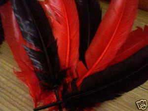 INDIAN FEATHERS 12 3 BLACK 3 RED OR WHITE HEN NIGHT  