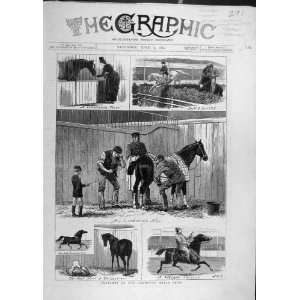  1880 Sketches Islington Show Horse Arab Horses Print