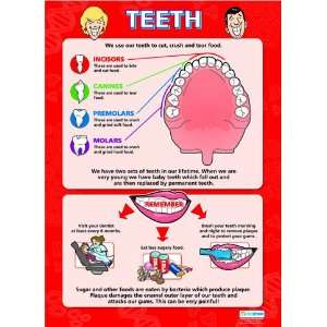  Teeth Extra Large Paper Poster
