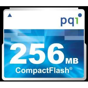   Speed Compact Flash Memory Card: AC51 2560 0101 (Retail): Electronics