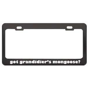 Got GrandidierS Mongoose? Animals Pets Black Metal License Plate 