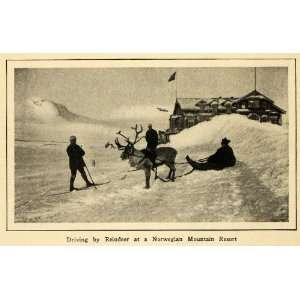  1922 Print Reindeer Pulling Sled Norwegian Resort Snowy 