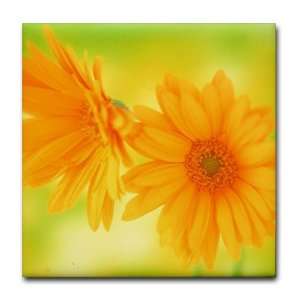  Tile Coaster (Set 4) Daisy African Yellow: Everything Else