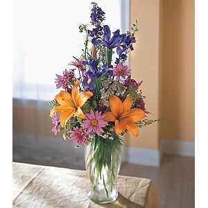  Floral Festival   Same Day Delivery Available Patio, Lawn 