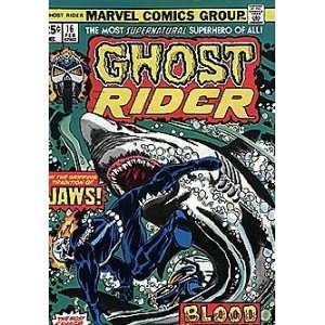  Ghost Rider (1973 series) #16 Marvel Books