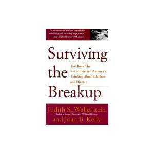   the Breakup : How Children and Parents Cope with Divorce: Books