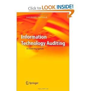  Information Technology Auditing An Evolving Agenda 