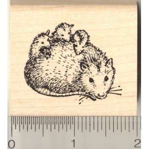  Small Opossum Ma w/ Babies Rubber Stamp: Arts, Crafts 